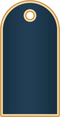 elegant transparent blue and gold blank label for retail design - Download Free Stock Videos Pikwizard.com
