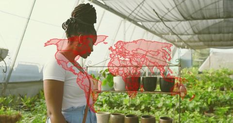 Inspecting woman tending potted plants in greenhouse nursery wearing denim apron