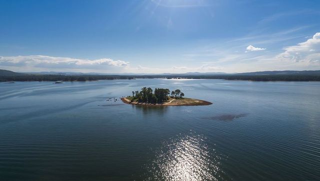 Solitary pine islet on tranquil lake with shimmering sun reflection, aerial panorama