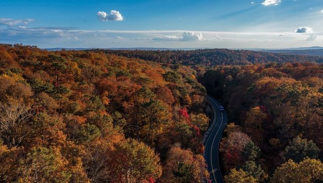 Vehicle Traversing Serene Winding Path Through Autumn Forest Canopy