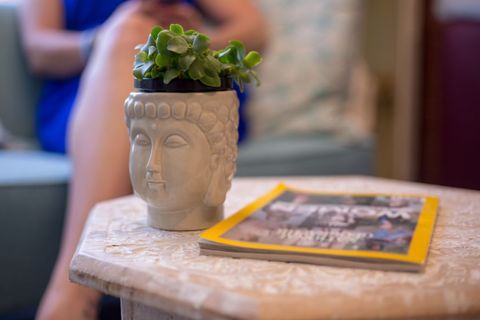 Succulent in ceramic buddha pot on living room coffee table