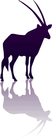 Purple oryx silhouette with reflection on transparent background