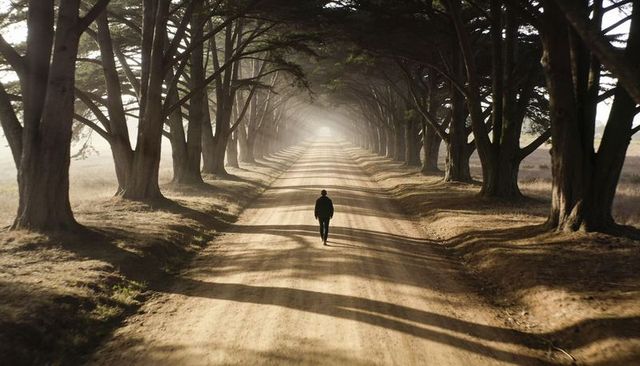Solitary man walking down tree-lined dirt road under misty cypress canopy at golden hour