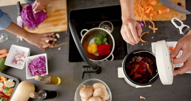 People Preparing Vegetarian Meal in Modern Kitchen with Fresh Ingredients - Download Free Stock Images Pikwizard.com