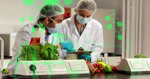 Scientists Analyzing Plants in Laboratory with Digital Data Overlay