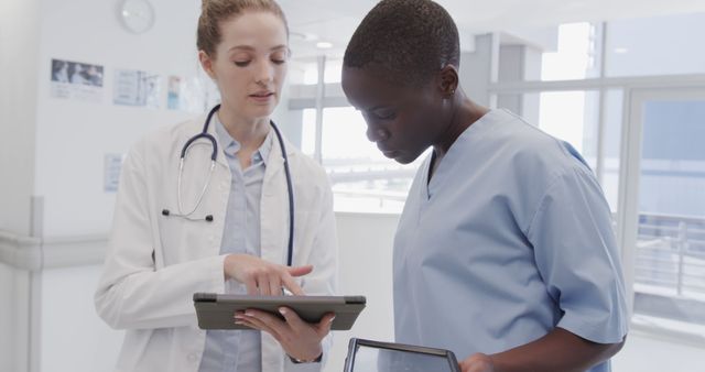 Medical Team Collaborating Using Digital Tablet in Hospital - Download Free Stock Images Pikwizard.com