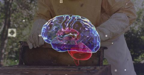 Beekeeper Handling Honeycomb with Holographic Brain Linking Pollination to Neuroscience