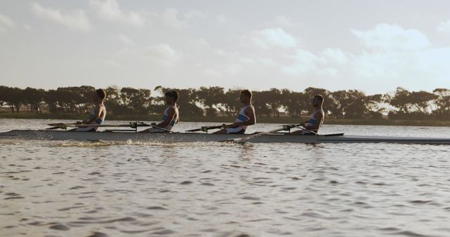 Four Rowers Synchronization on Calm Lake - Download Free Stock Images Pikwizard.com