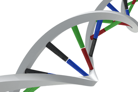 transparent dna strand illustration highlighting genetic code - Download Free Stock Videos Pikwizard.com
