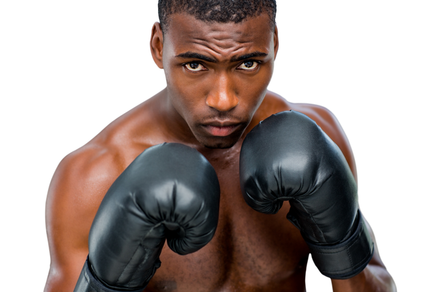 African American Male Boxer with Boxing Gloves Transparent Background - Download Free Stock Videos Pikwizard.com