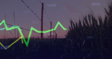Barbed Wire in Agricultural Field with Statistical Analysis Overlay