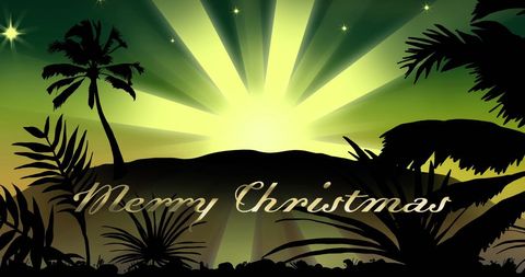 Tropical Christmas Greeting Featuring Shooting Star - Download Free Stock Images Pikwizard.com