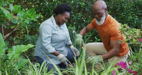 Senior African American Couple Gardening Together
