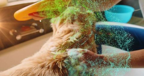 Bathing long-haired dog with orange brush and teal foam in sunlit sink, grooming care moment