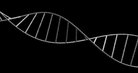 Abstract Digital DNA Strand Animation on Black Background
