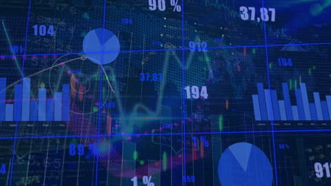 Financial Data Analysis: Dynamic Charts Displaying Statistics