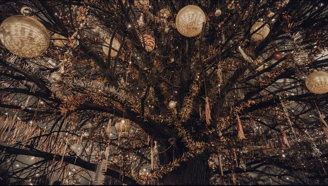 Elegant Tree Illuminated with Ornaments for Festive Celebration