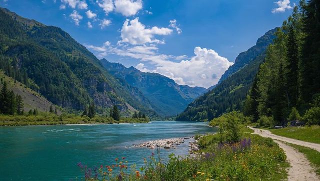 Turquoise river winding through alpine valley with wildflower trail and gravel shoal