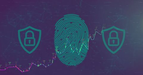 Digital Security Imagery with Fingerprint and Financial Graph - Download Free Stock Images Pikwizard.com