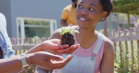 African family passing seedling to youth in backyard garden intergenerational nurturing