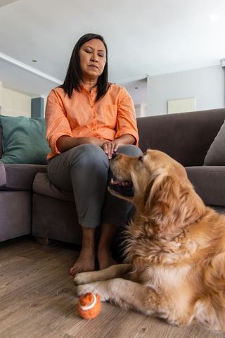 Mature woman sitting on sofa petting calm golden retriever with orange tennis ball