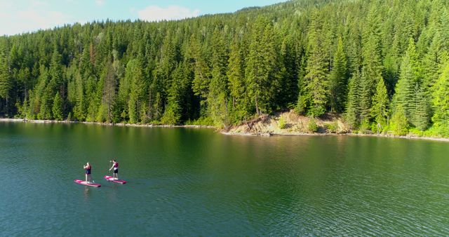 This image features two people paddleboarding on a tranquil mountain lake surrounded by lush green forest. It is ideal for use in travel blogs, outdoor adventure magazines, nature conservation campaigns, and advertisements promoting healthy lifestyles and vacations. The serene setting and vibrant natural scenery can effectively evoke a sense of peace and adventure.