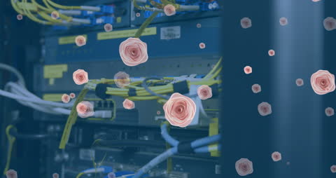 Animation of Roses Overlaying Data Center Servers