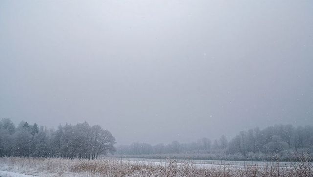 Snowfall Softening Winter Meadow with Narrow Frozen Waterway and Frosted Reeds