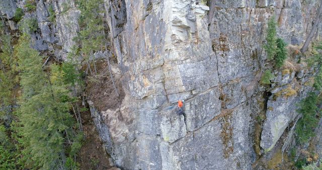 Climber scales a steep cliff in a forested area. The image captures the thrill of rock climbing amidst natural beauty.