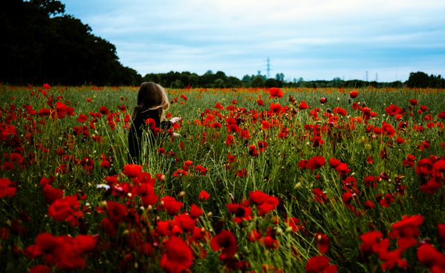 Woman standing in a field of red poppies during sunset, capturing the tranquility and beauty of nature. Perfect for themes related to nature, relaxation, environmental conservation, and summertime. Great for use in advertising campaigns, prints, websites, and nature-themed projects.