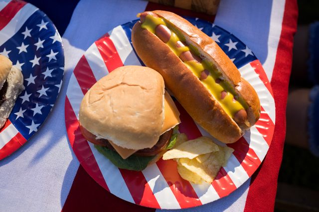 Close-Up of Hot Dog, Hamburger, and Crisps on Patriotic Plate - Download Free Stock Photos Pikwizard.com