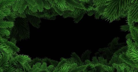 Green Christmas Tree Border on Black Background