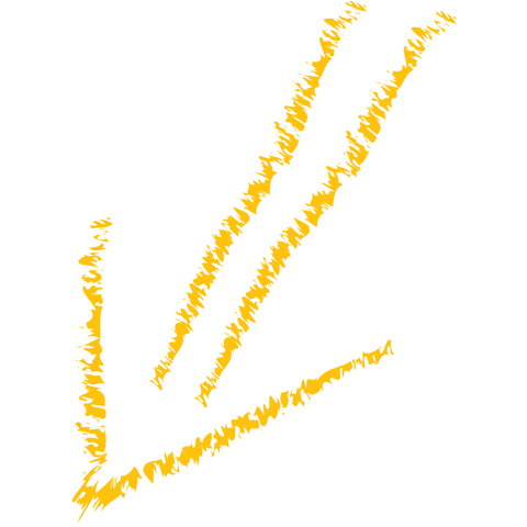 yellow textured downward arrow on transparent background - Download Free Stock Videos Pikwizard.com