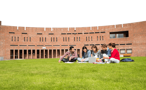 group of students studying on college grass with transparent background - Download Free Stock Videos Pikwizard.com