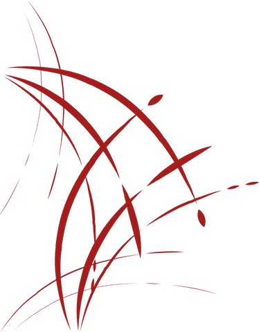 red abstract underline design on transparent background - Download Free Stock Videos Pikwizard.com