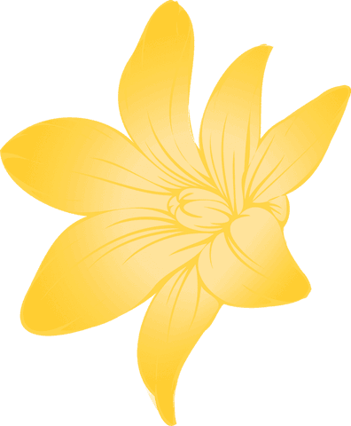 elegant yellow flower glowing with soft gradient on transparent background - Download Free Stock Videos Pikwizard.com
