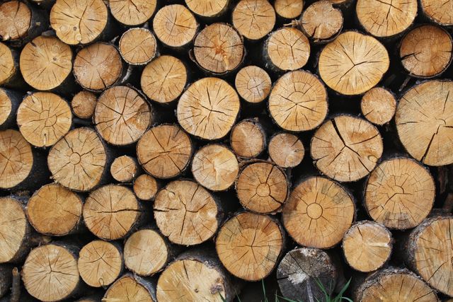 Pile of Brown Tree Logs - Download Free Stock Photos Pikwizard.com