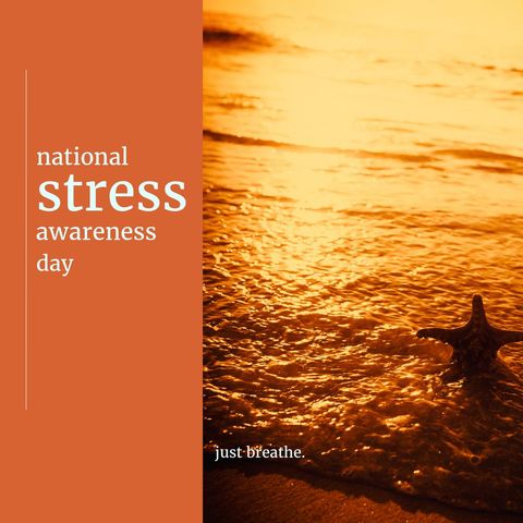 Tranquil Beach Sunset Scene for Stress Awareness Relaxation - Download Free Stock Templates Pikwizard.com