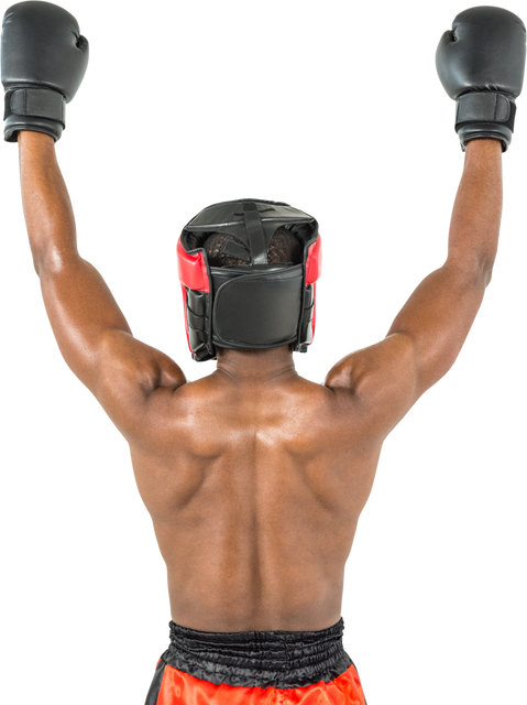 Transparent Rear View Boxer Posing after Victory in Boxing Gloves - Download Free Stock Videos Pikwizard.com