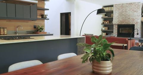 Modern Kitchen and Living Room with Indoor Potted Plants