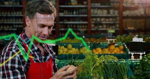 Grocer Examining Fresh Produce with Market Graph Overlay