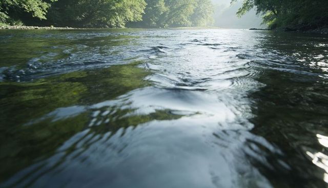 Flowing shallow river reflecting green foliage, rippling surface over underwater rocks