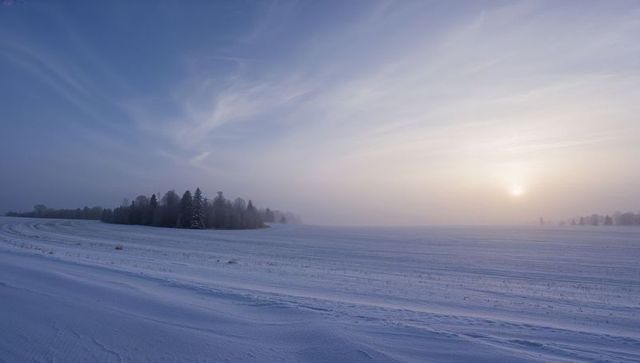 Sunrise mist casting soft light over snow-covered farmland with curving plow furrows