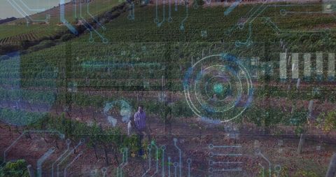 Innovative vineyard management with technology overlay