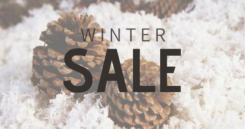 Winter Sale Promotion with Pinecones on Snow Background - Download Free Stock Images Pikwizard.com