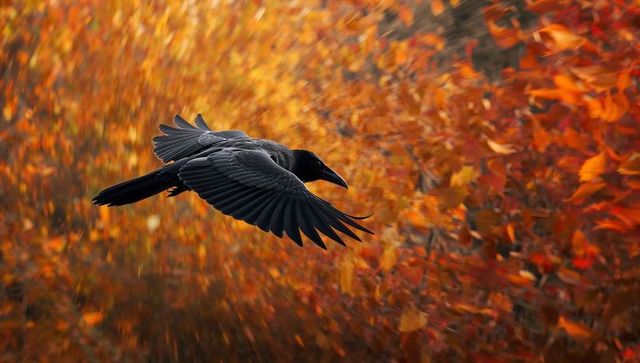 Majestic Crow Gliding through Vibrant Autumn Foliage