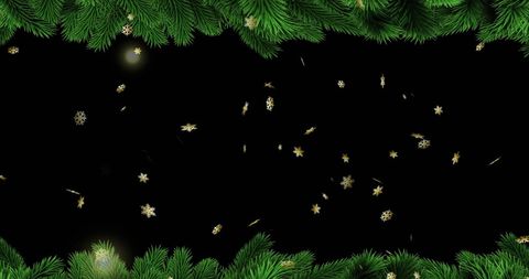 Gold Snowflakes Falling Against Black Background with Pine Border