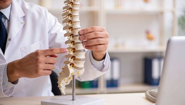Doctor demonstrating lumbar spine model during clinical consultation and patient education