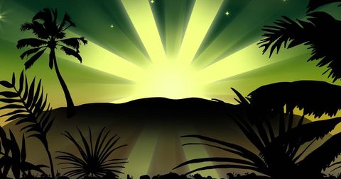 Tropical Sunset Silhouette with Vibrant Sunburst Background - Download Free Stock Images Pikwizard.com