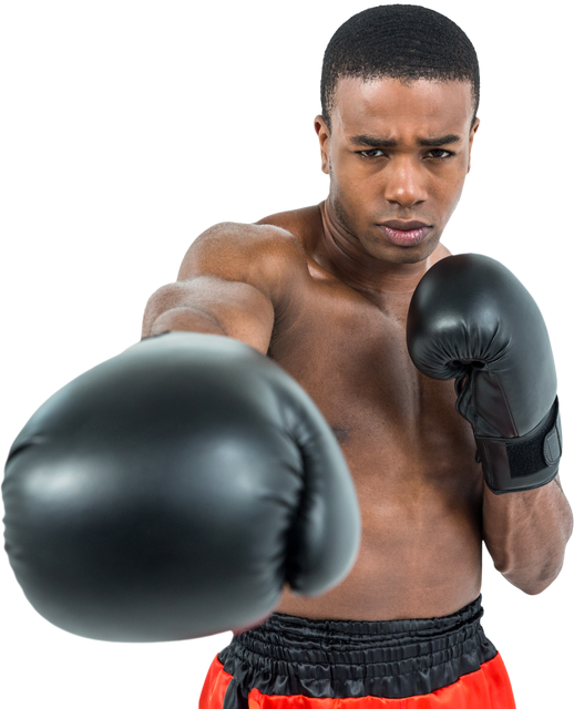 Focused Male Boxer in Upright Stance with Gloves Transparent Background - Download Free Stock Videos Pikwizard.com